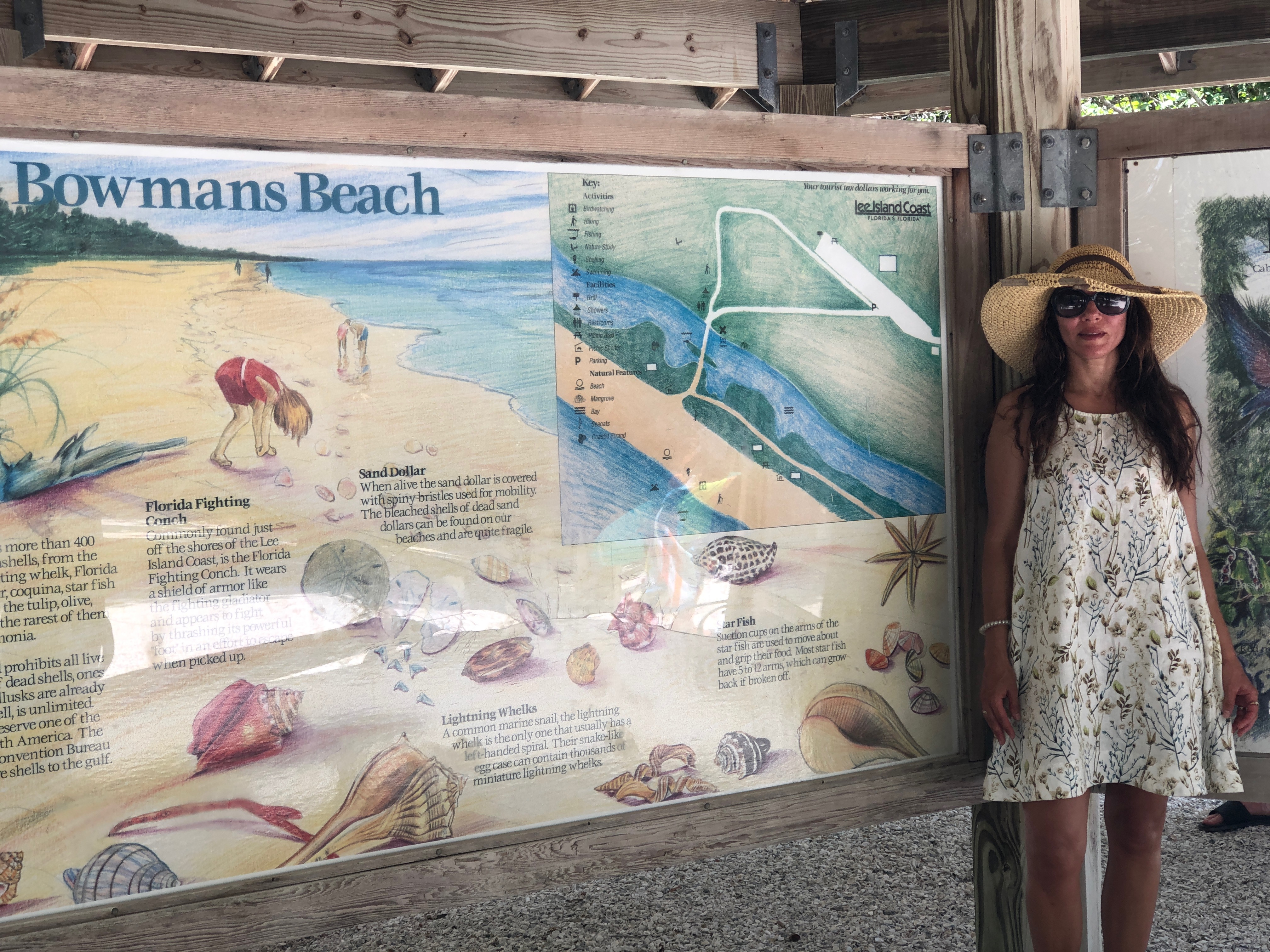 Sanibel Island, Florida- USA