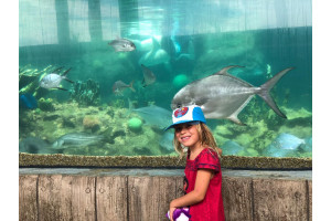 WhatsApp Image 2026-01-27 at 211404 11