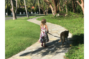 WhatsApp Image 2026-01-27 at 210755 9