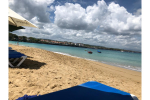 WhatsApp Image 2026-01-27 at 210755 5